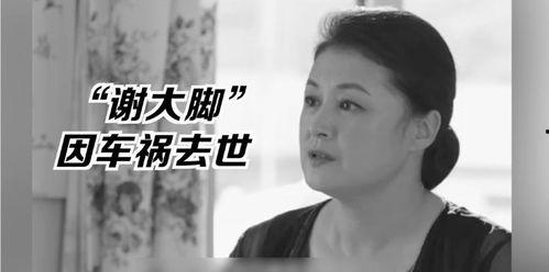 娱乐圈的吃瓜影帝笔趣阁